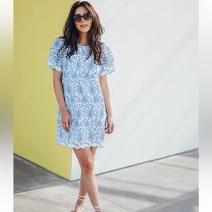 Blue and White Blue eyelet Short sleeve Dress Laundry by Shelli Segal Size US 2